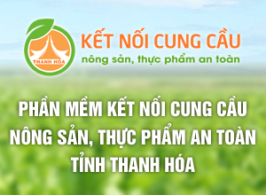 Kết nối cung cầu